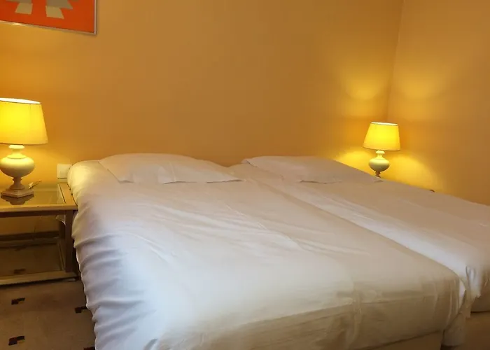 Aparthotel Kosy Coeur De Nancy